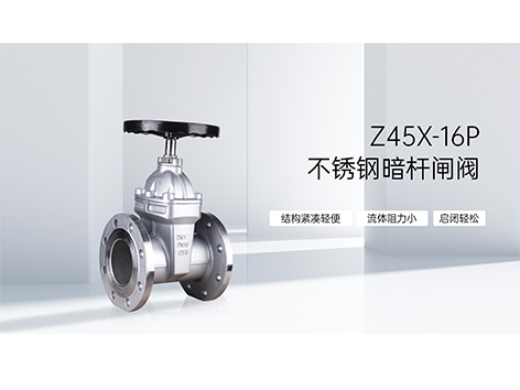 不锈钢暗杆闸阀