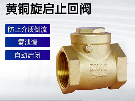 甄易黄铜止回阀