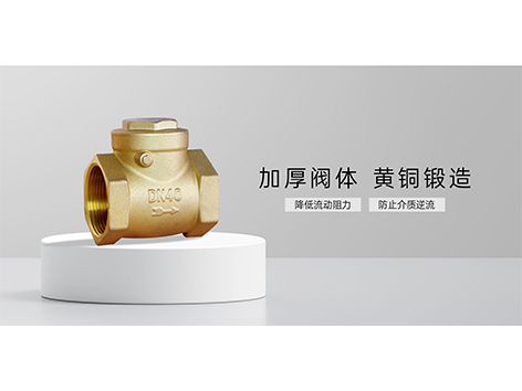 甄易黄铜止回阀