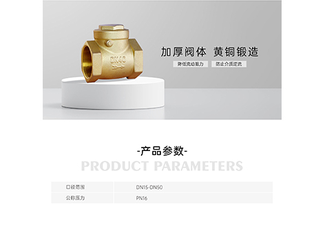 甄易黄铜止回阀