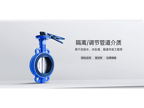 手柄对夹蝶阀