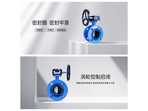 水泵进口检修阀设闸阀还是蝶阀-艾德默阀门