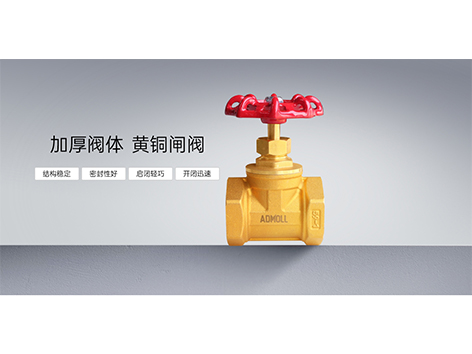 黄铜闸阀