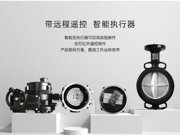 电动阀门执行器都由什么组成-艾德默阀门