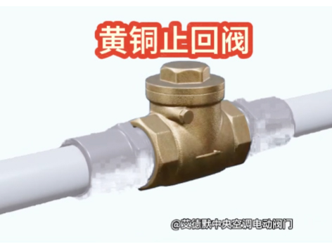 铜止回阀可以水平吗-艾德默阀门