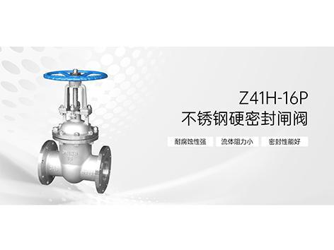 甄易不锈钢硬密封闸阀