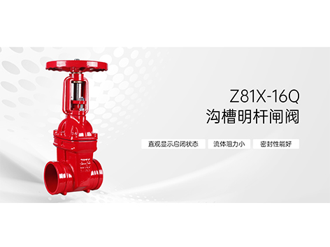 甄易沟槽明杆闸阀