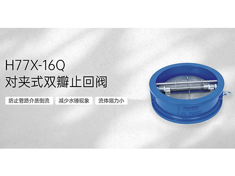 对夹式双瓣止回阀垂直安装方式-艾德默阀门