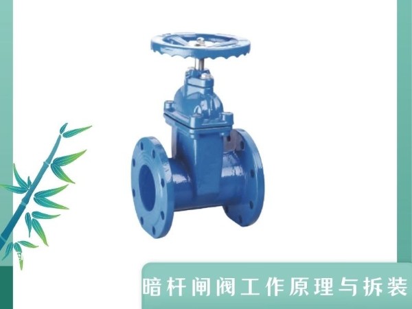 揭秘手动阀门暗杆闸阀：工作原理与拆装指南