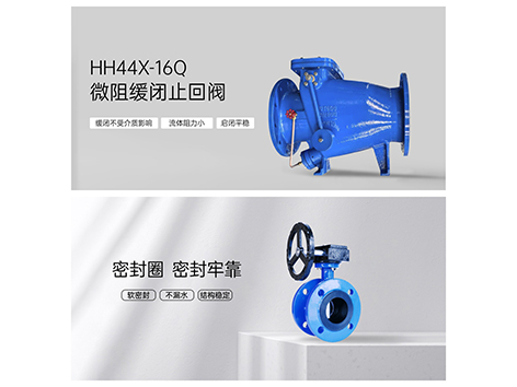 泵的出口是先安装止回阀还是蝶阀-艾德默阀门