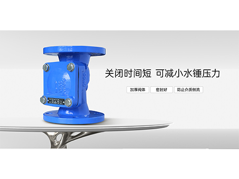 橡胶瓣止回阀