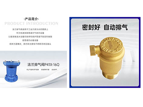法兰排气阀和黄铜排气阀装在进水还是回水-艾德默阀门