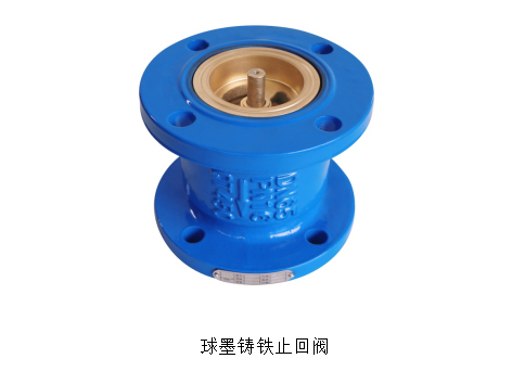 空调水系统止回阀用球墨铸铁还是铸钢比较好-艾德默阀门
