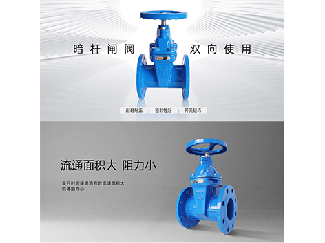 暗杆闸阀