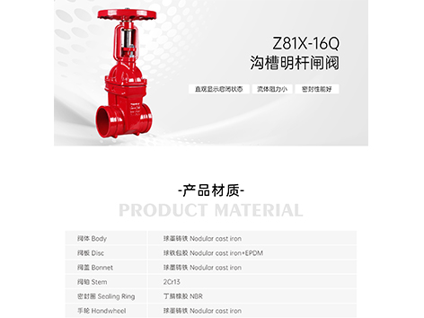 Z81X-16Q沟槽明杆闸阀