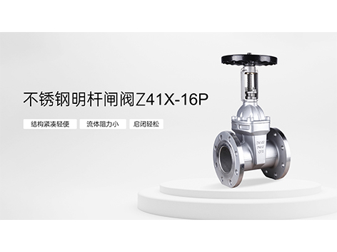 艾德默不锈钢明杆闸阀