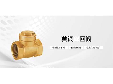 不同材质止回阀的选用，一文读懂不踩雷-艾德默阀门