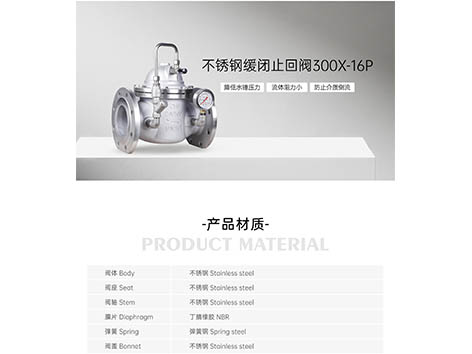 艾德默不锈钢缓闭止回阀300X-16P
